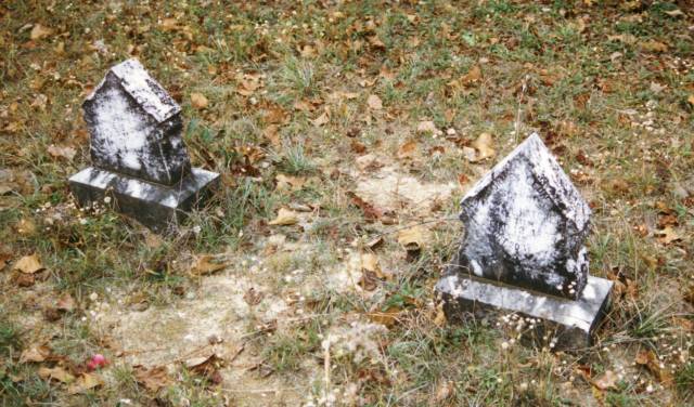 Cemetery-DavisFamily1996(J.MHatchettChildren).jpg