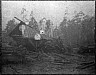 1906Hatchett-WilderSawmill.jpg